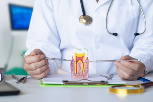 Best Broken or Cracked Tooth Emergency Dentist in Frankfort, MI